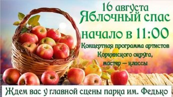 Концертная программа артистов Коркинского округа , мастер-классы
